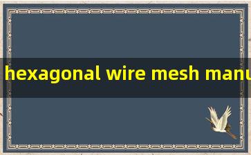 hexagonal wire mesh manufacturer